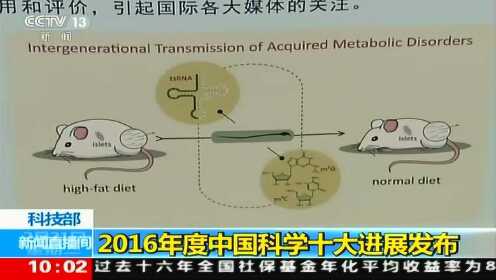 探索未知世界的里程碑，揭秘最新科学重大发现