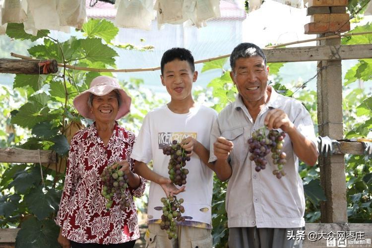 冯卯镇最新新闻报道