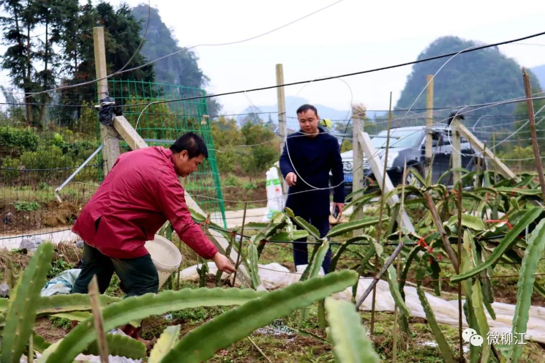 果波村新任领导引领乡村走向繁荣新篇章