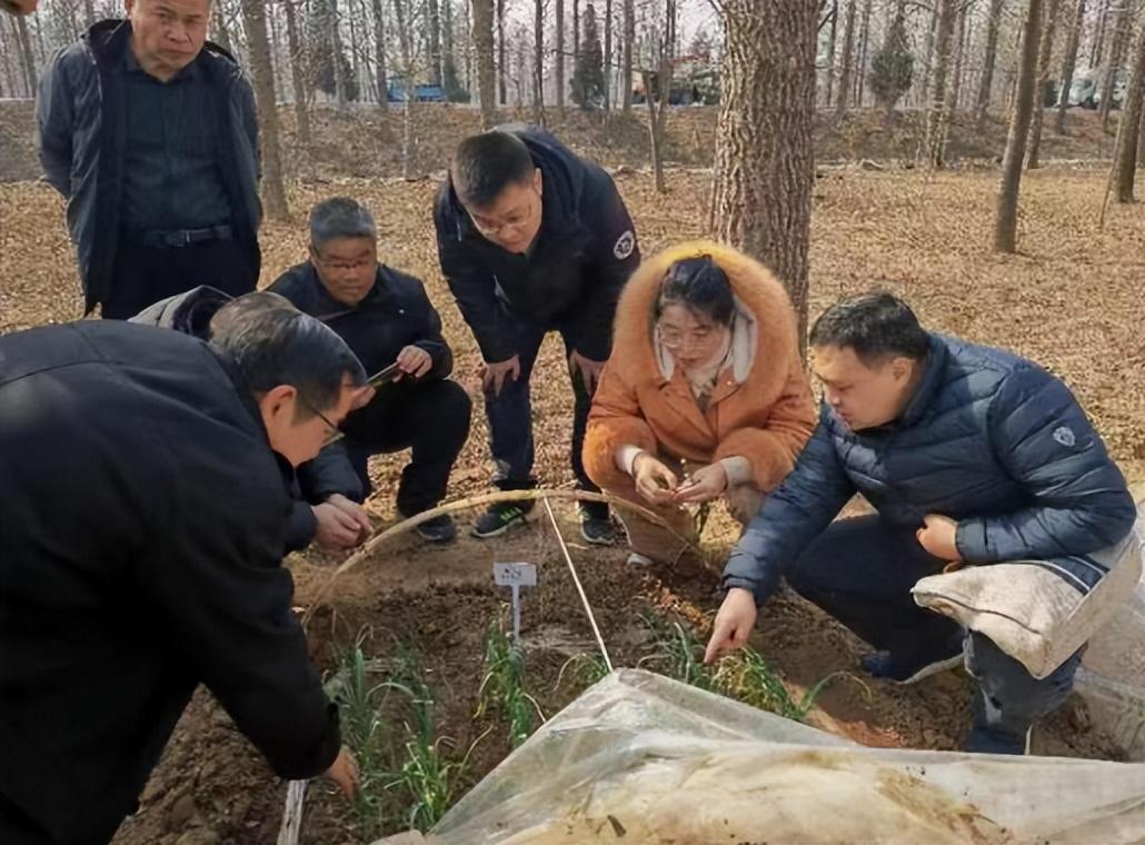 邳州市审计局深化审计职能助力地方经济高质量发展新动向